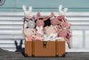 Nurturing Imagination: The Developmental Benefits of Creature Dolls for Your Little Ones