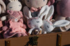 Bella Blossom Crochet Cuddle (set of 2)