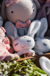 Bella Blossom Crochet Cuddle (set of 2)